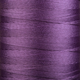 Violet - 0578